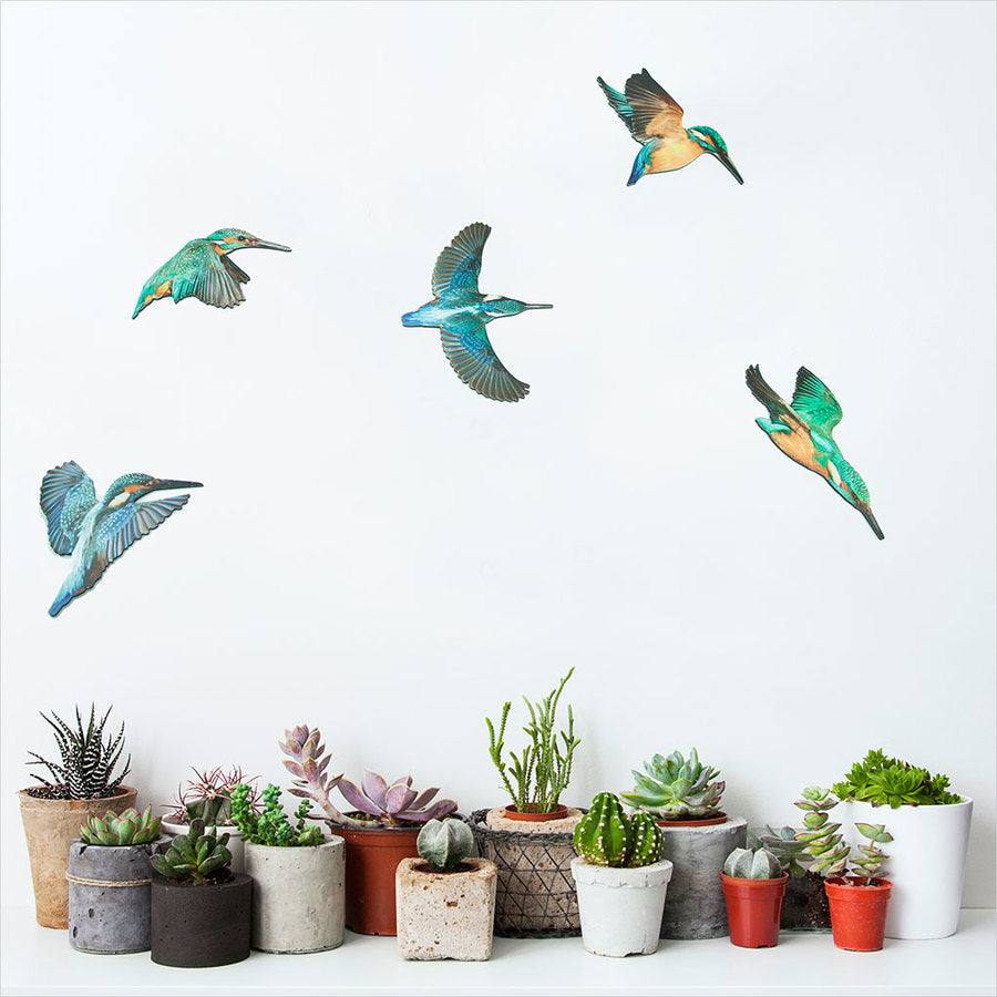 Vibrant kingfisher wall art set printed on durable ACM, perfect for nature lovers and versatile indoor/outdoor decor.