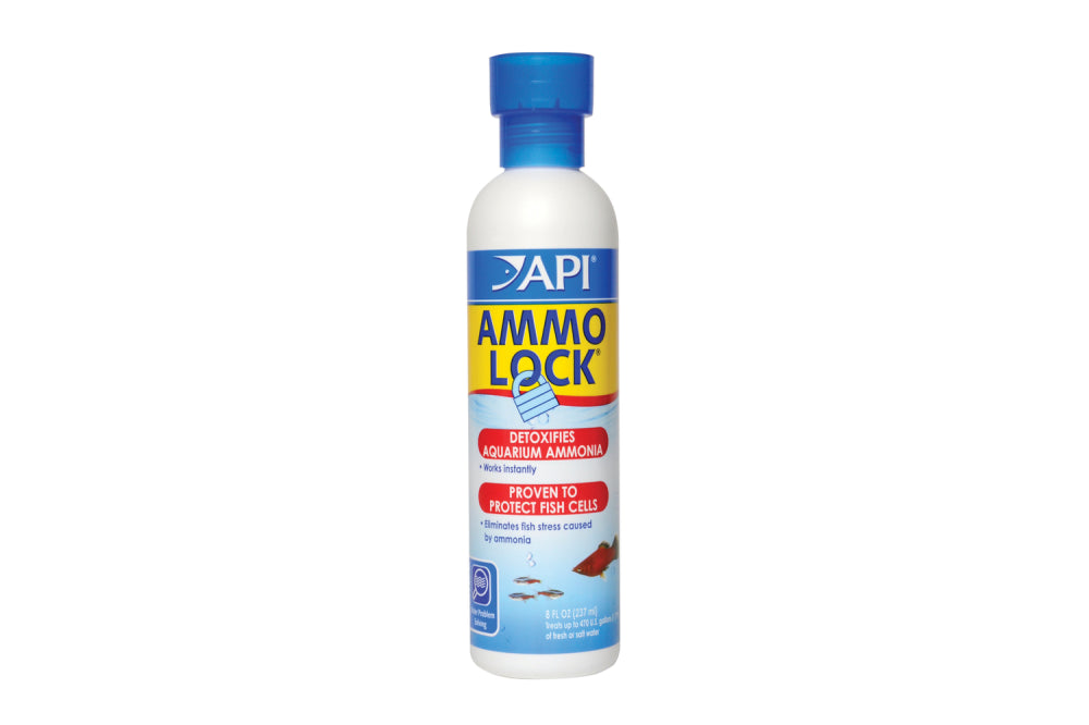 API Ammo Lock 237mL bottle designed for detoxifying ammonia in aquariums, promoting fish health and reducing stress.