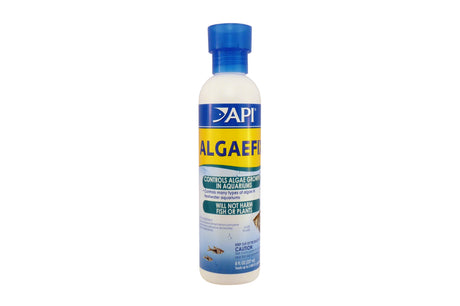 Bottle of API Algaefix - 237ml, a powerful solution to effectively control algae in freshwater aquariums for clear water.