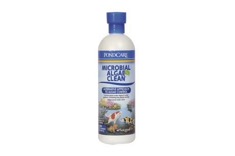 API Pond Microbial Algae Clean 473mL, an EPA-registered bacterial algaecide for algae control, safe for fish and plants.