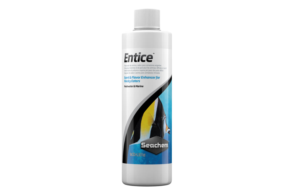 Bottle of Seachem Entice 250ml, a natural flavor enhancer for enticing finicky marine and freshwater fish to eat.