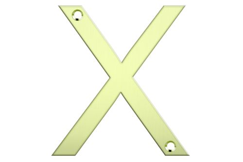Polished brass letter box number 'X', 80mm tall, elegant finish, perfect for enhancing curb appeal and address visibility.