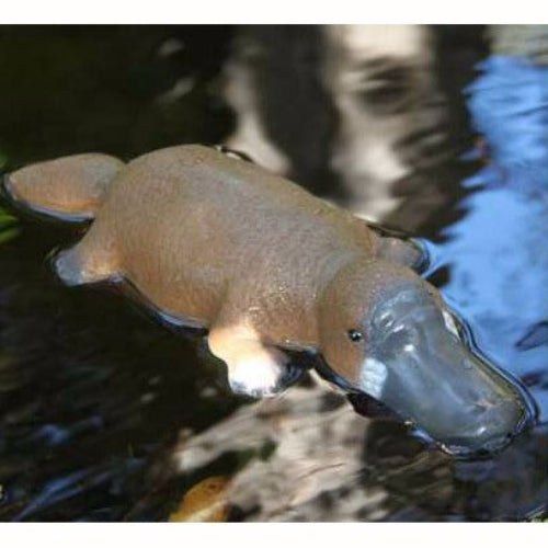 Lifelike 30cm floating platypus ornament, perfect for ponds and aquariums, adds charm to your garden decor.