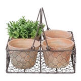 Four rustic terracotta pots in a wire basket with handle, perfect for stylish indoor and outdoor planting.