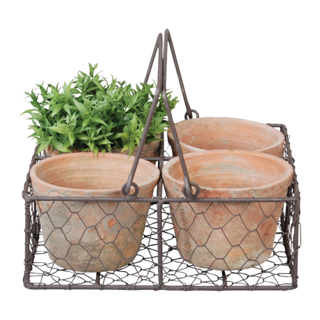 Four rustic terracotta pots in a wire basket with handle, perfect for stylish indoor and outdoor planting.