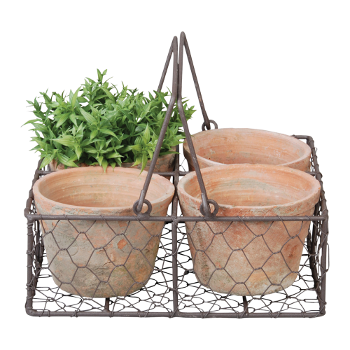 Four rustic terracotta pots in a wire basket with handle, perfect for stylish indoor and outdoor planting.