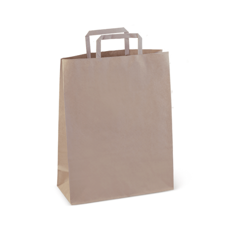 Eco-friendly flat handle paper carry bags, 300 x 240 x 100 mm, pack of 50, durable and recyclable for retail and events.