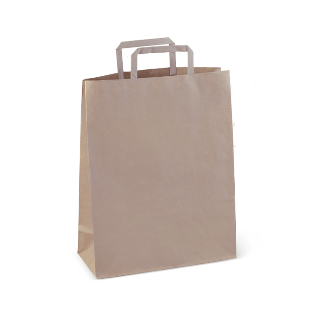 Eco-friendly flat handle paper carry bags, 300 x 240 x 100 mm, pack of 50, durable and recyclable for retail and events.