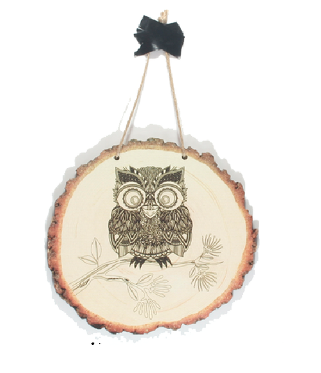 Wall art featuring a Morepork design, printed on eco-friendly pine veneer, ready to hang and perfect for gifting.