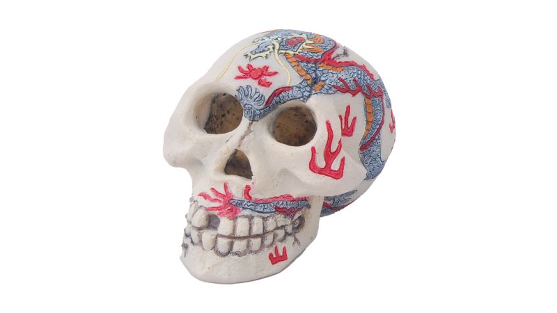 Aquatic ornament featuring a 9cm painted skull, perfect for adding unique decor to aquariums and providing fish hiding spots.