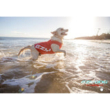 EzyDog Dog Rashie in Small (35cm) offers UV 50+ protection, high visibility, quick-drying, and odor-resistant comfort for dogs.
