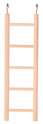 Wooden 5-rung bird ladder, 21cm, made from non-toxic wood for safe climbing and play for small birds.