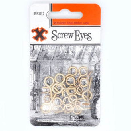 Brass-plated screw eyes in a blister pack, ideal for securely hanging artwork with wire or cord.