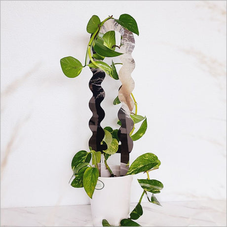 Elegant ACM Silver mirror plant support stake for climbing plants, enhancing growth and decor in indoor or outdoor spaces.