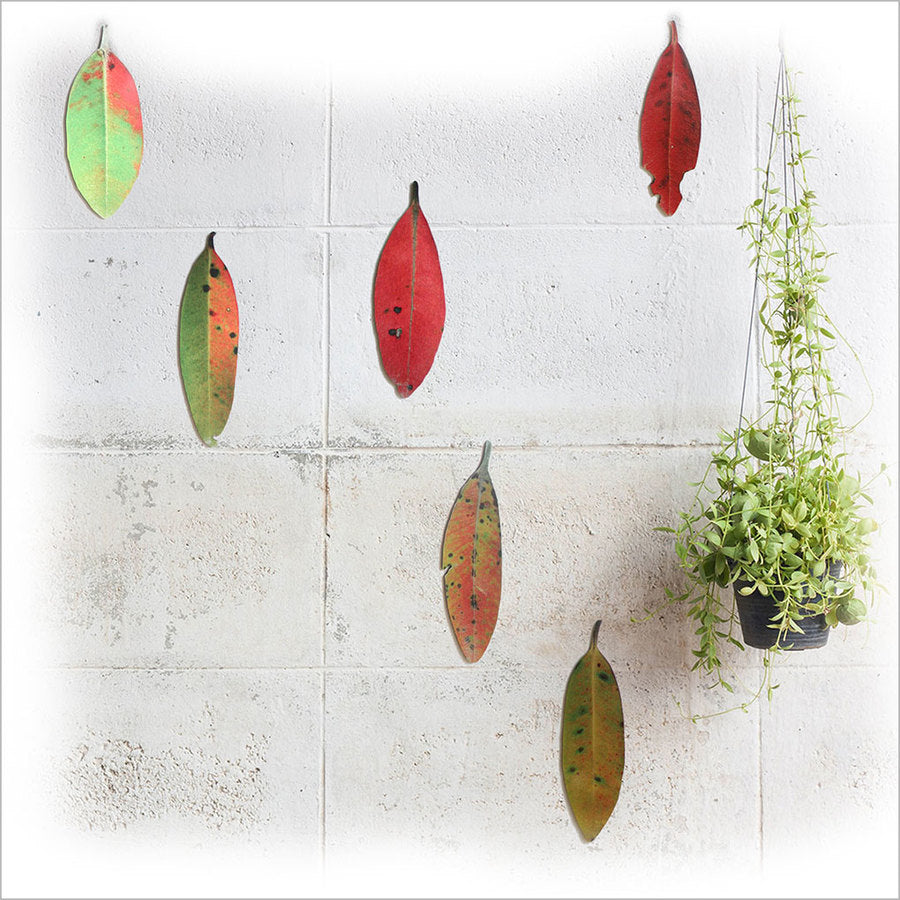 Elegant set of six printed Pohutukawa leaves on brushed silver ACM, perfect for enhancing any living space's decor.