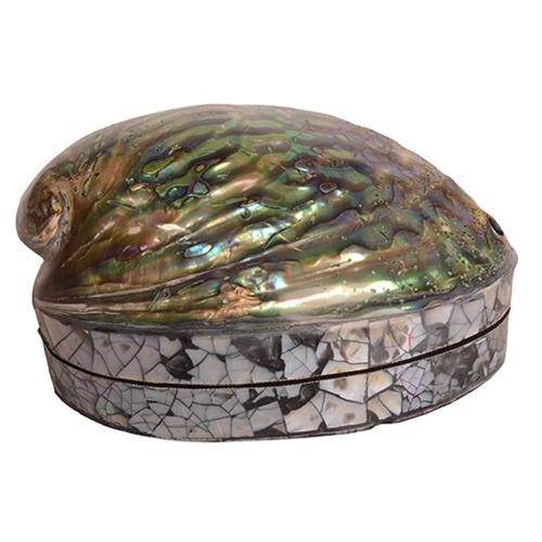 Hinged Paua Shell Jewellery Box with vibrant iridescent exterior and soft satin lining, perfect for storing precious jewelry.