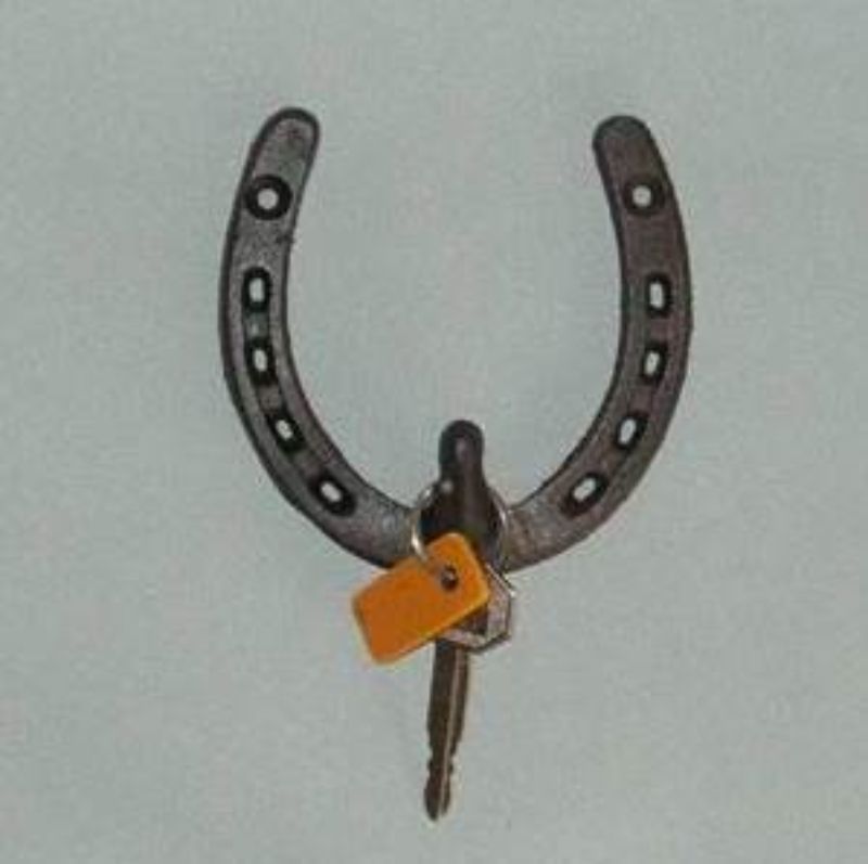 Single Horse Shoe Key Hook