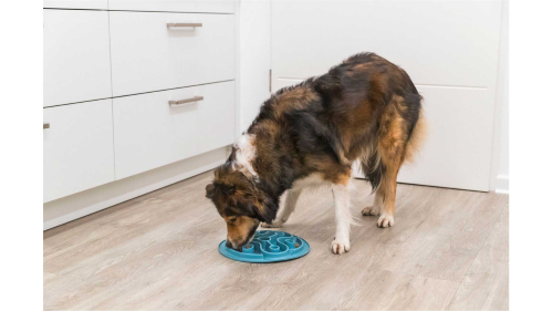 Slow Feeding Mat (28cm) for pets, designed to prevent gulping, promote healthy eating, and keep meals engaging.