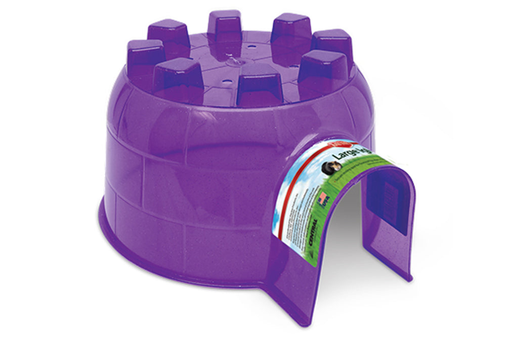 Colorful Kaytee Igloo Large for small pets, featuring durable plastic, ventilation, and a spacious hideout design.