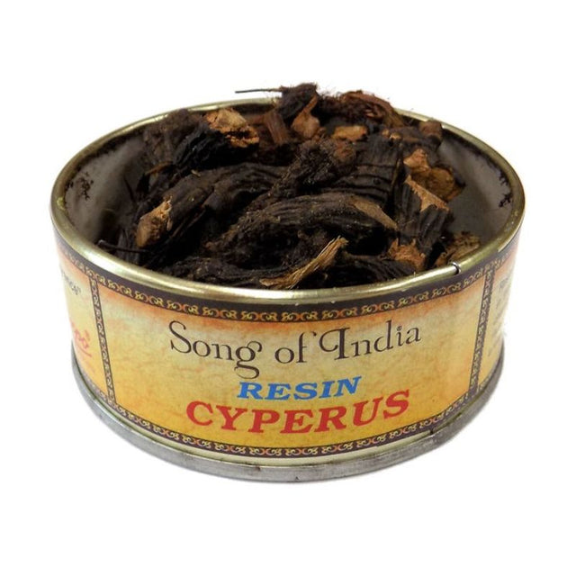 Cyperus 25gm Natural Resin in a stylish tin, perfect for incense burning to enhance meditation and spiritual practices.