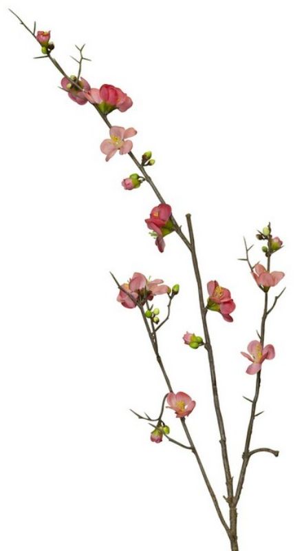 Cherry Blossom  - Pink