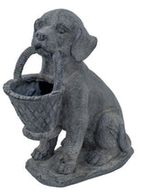 Charming dog-shaped planter in neutral gray, perfect for indoors or outdoors, ideal for flowers, herbs, or succulents.