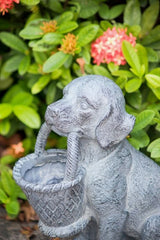 Charming dog-shaped planter in gray fiberglass resin, perfect for indoor/outdoor blooms and succulent displays.