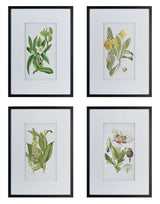 Elegant set of 4 botanical wall art prints, showcasing stunning designs to enhance any room's aesthetic and bring nature indoors.