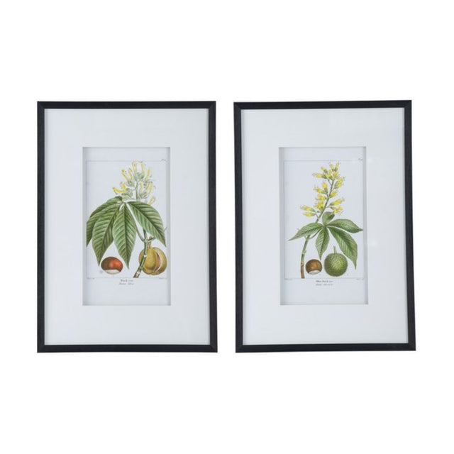 Botanical and bird wall art set of 2, featuring vibrant designs on plywood and glass, perfect for nature-inspired decor.