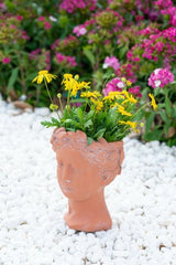 Terracotta visage head planter, 23cm, adds elegance with durable design for indoor/outdoor plants, perfect gift for garden lovers.