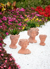 Terracotta head planter, 27cm tall, featuring a unique visage design perfect for showcasing indoor and outdoor plants.