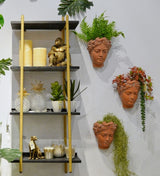 Terracotta visage head planter, 22cm tall, featuring intricate design for stylish plant display indoors or outdoors.