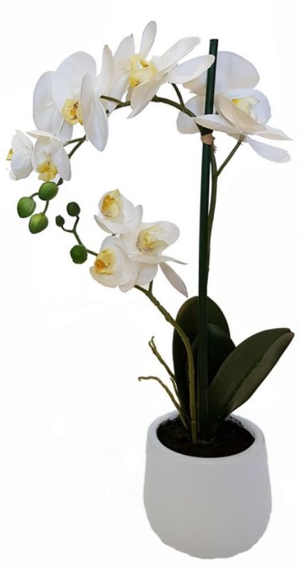 Lifelike Real Touch Orchid - 2 Spray, 48.2cm tall, perfect for home or office decor, adding vibrant color and lasting beauty.