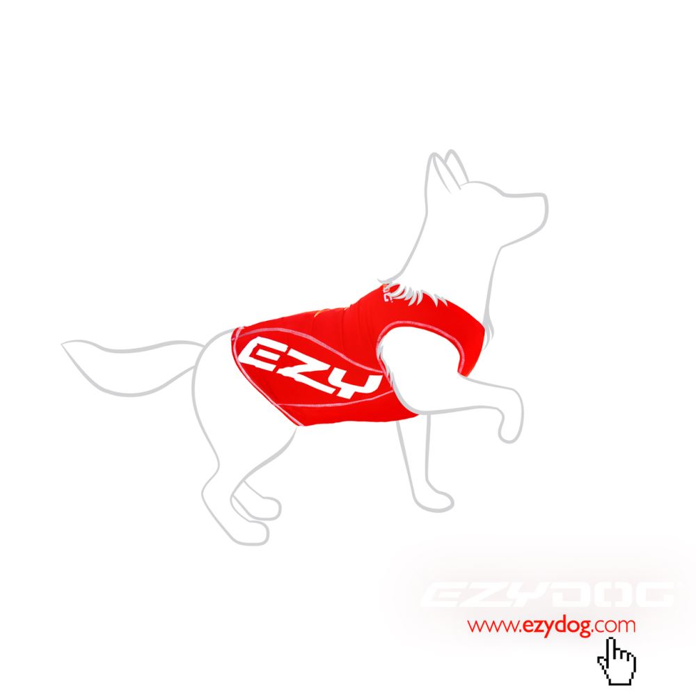 Stylish dog rashie for small dogs, offering 50+ UV protection and lightweight, fast-drying fabric, perfect for beach days.