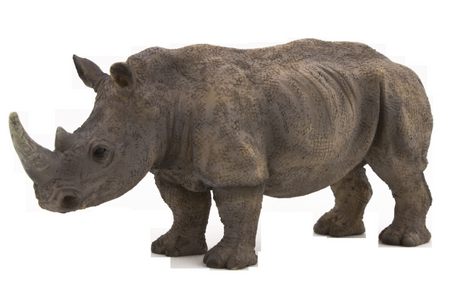 Highly detailed Animal Planet White Rhinoceros figurine made from safe PVC, perfect for collectors and educational play.