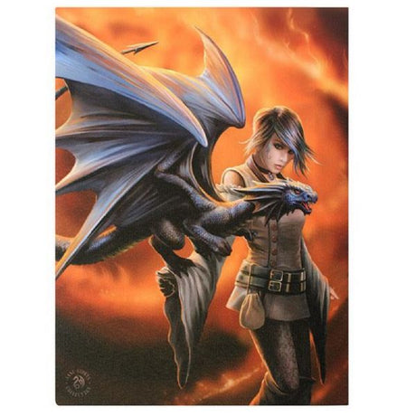 Canvas print featuring a captivating dragon and trainer by Anne Stokes, perfect for fantasy-themed home decor.