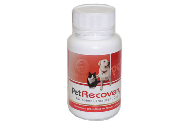 Pet Recovery Glucosamine capsules for joint health; natural ingredients for active pets, 100 capsules in a convenient bottle.