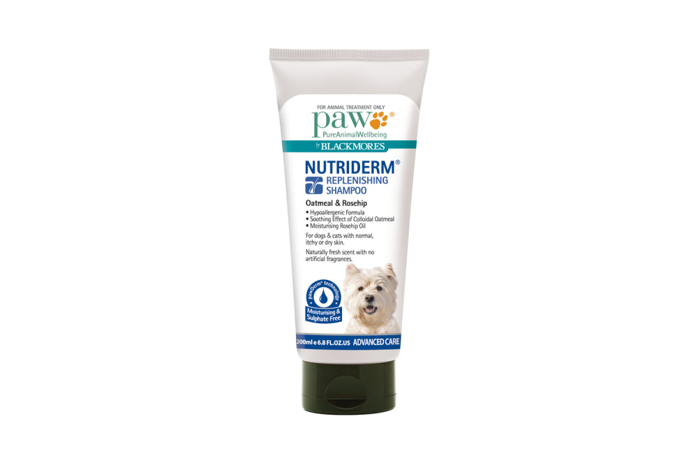 PAW NutriDerm Shampoo 200mL: sulfate-free oatmeal shampoo for healthy skin and a shiny coat in pets, soothing and moisturizing.