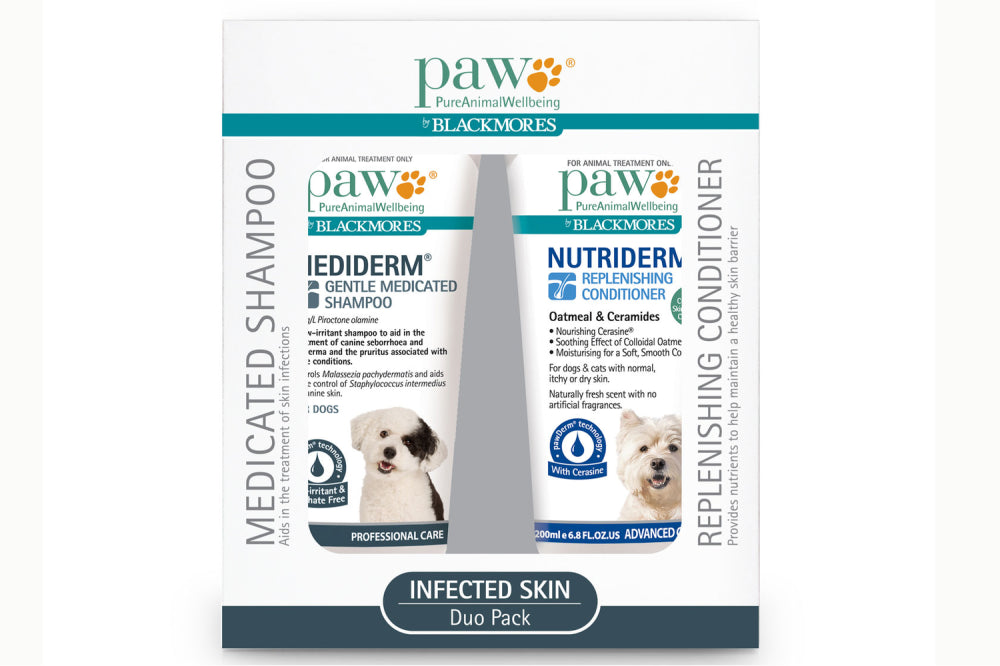 PAW MediDerm Infected Skin Duo Pack for pets features medicated shampoo and nourishing conditioner for effective skin infection treatment.