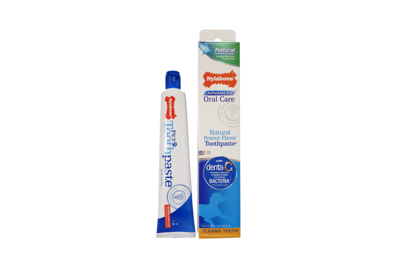 Advanced Oral Care Natural Toothpaste - Nylabone