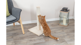 Beige 62cm scratching post for cats, featuring durable jute and plush, ideal for scratching and climbing.