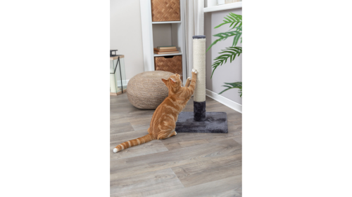 Batres 62cm grey scratching post for cats, featuring durable jute and plush fabric, perfect for scratching and climbing.