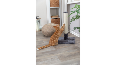 Batres 62cm grey scratching post for cats, featuring durable jute and plush fabric, perfect for scratching and climbing.