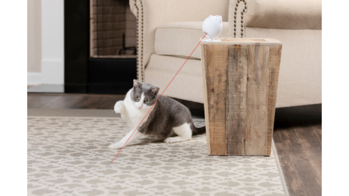 Cat Toy - PetSafe Dancing Dot Laser