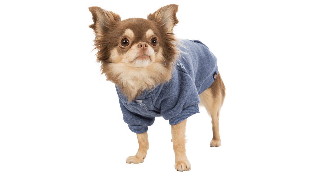 Cozy blue BE NORDIC dog hoodie for medium dogs, featuring a functional hood and warm, roughened inner side.