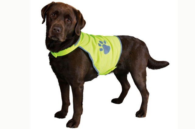 Bright neon yellow reflective safety vest for medium dogs, featuring paw prints and adjustable fit for visibility in low light.