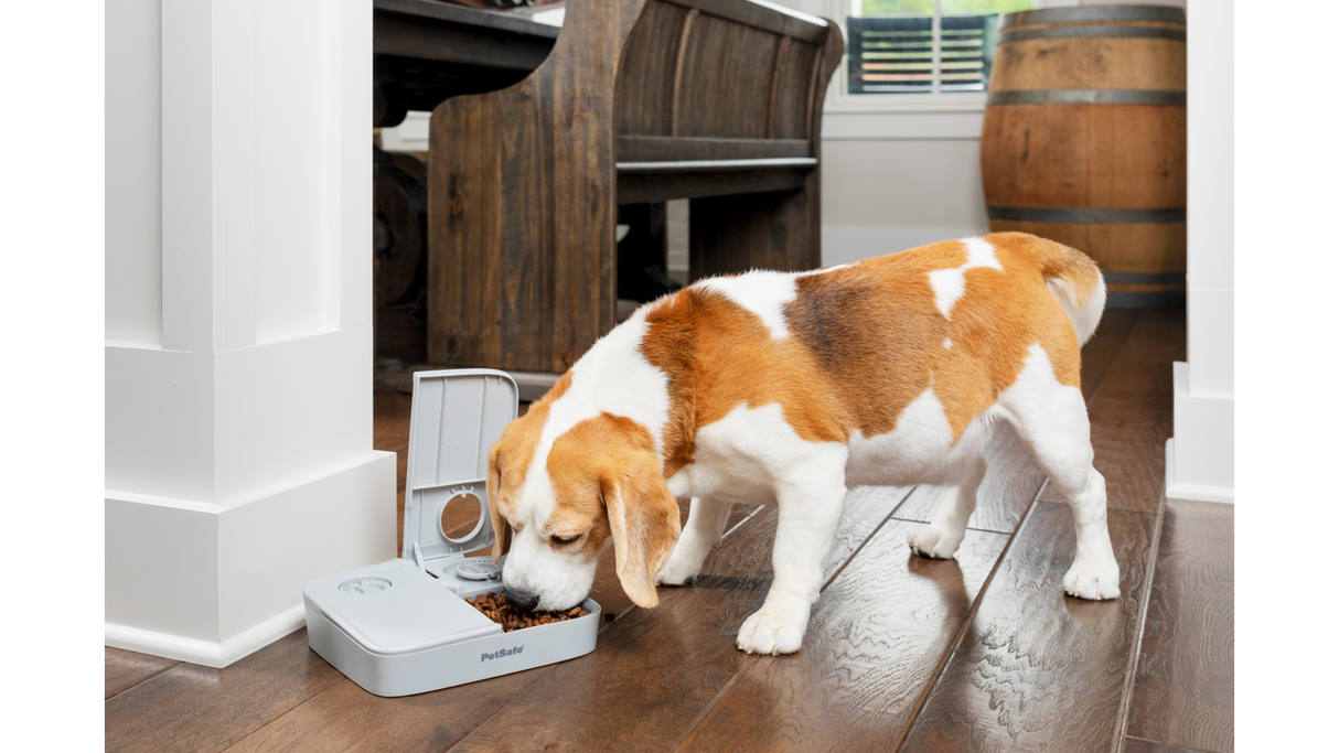 Automatic pet feeder for cats and small dogs, schedules 2 meals, BPA-free, dishwasher-safe, holds 1.5 cups per tray.