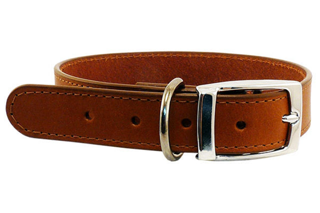 Cognac leather dog collar by Beau Pets, 12mm x 35cm, featuring adjustable fit, beveled edges, and durable chrome hardware.