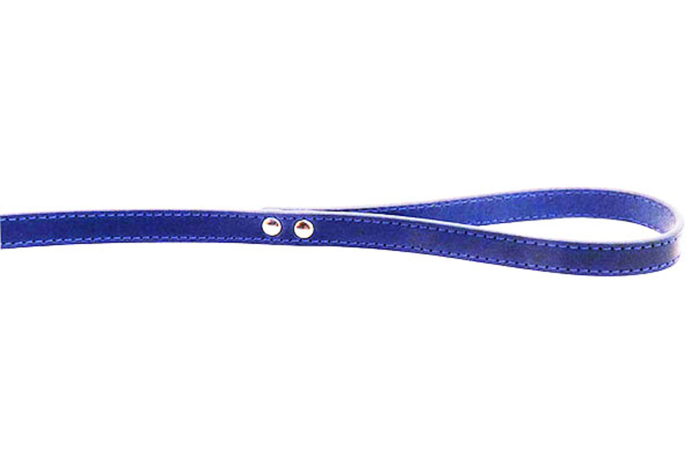 Stylish blue leather dog lead, 100cm long, with stitched details and chrome hardware, perfect for medium to large dogs.