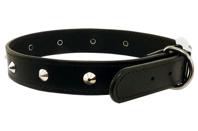 Black leather dog collar with stitched details, 12mm wide and 35cm long, featuring 9 studs and 5 adjustable holes.